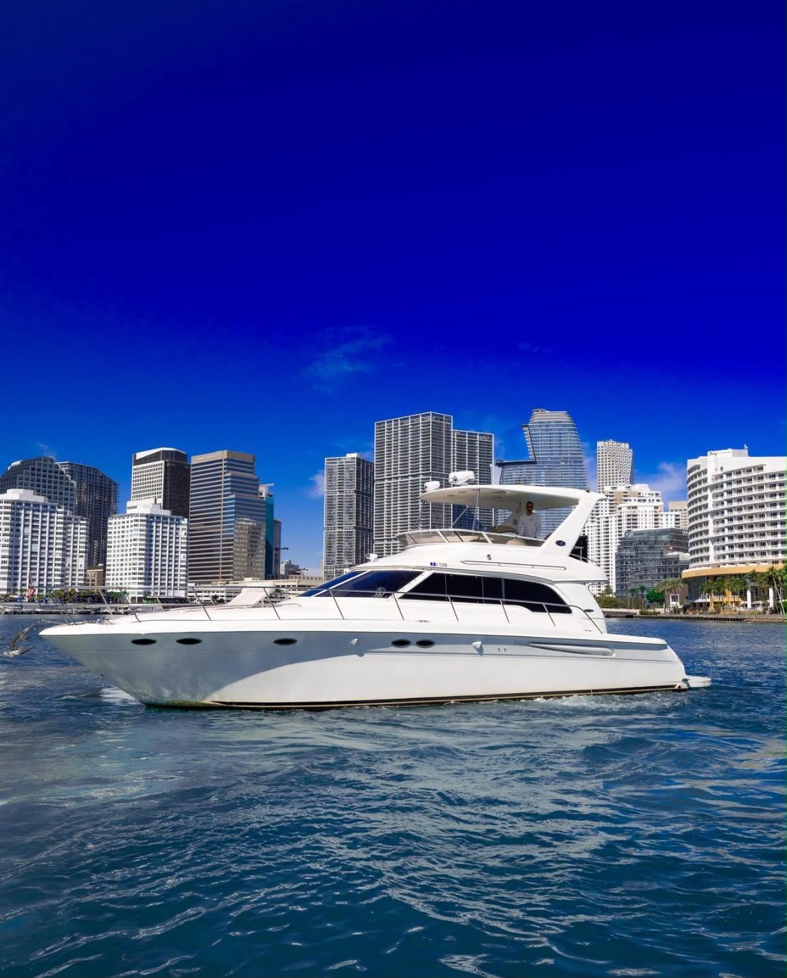 Sea Ray 52 ft — photo 1 of 5